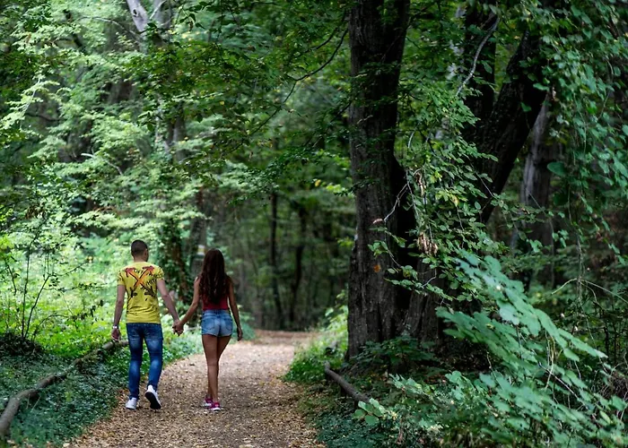 Хотел лилия 4*