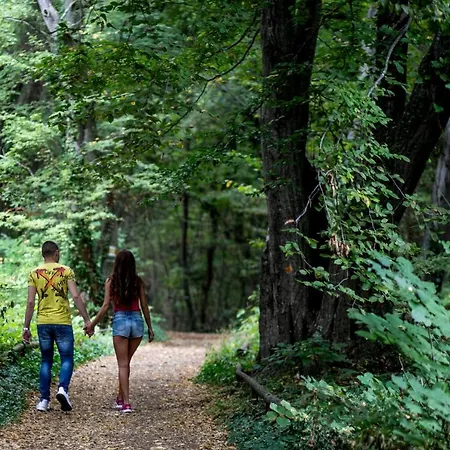 Ξενοδοχείο Lilia 4*